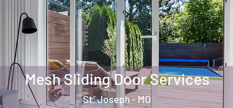 Mesh Sliding Door Services St. Joseph - MO